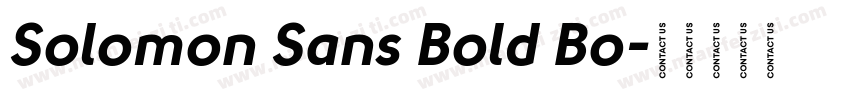 Solomon Sans Bold Bo字体转换